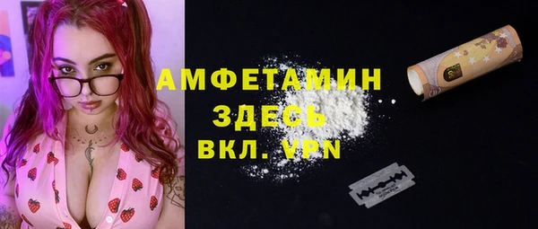 сатива Надым