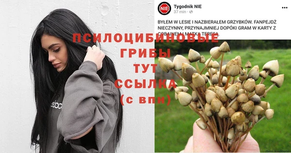 прущий лед Михайловск