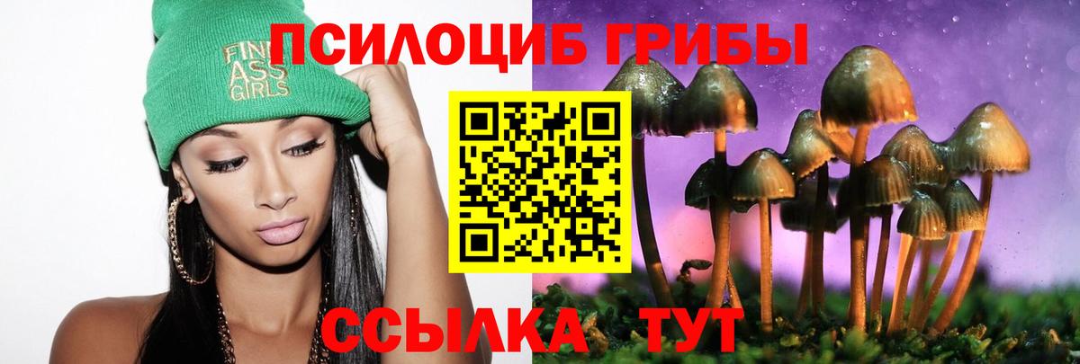 Галлюциногенные грибы MAGIC MUSHROOMS  купить наркотик  Галлюциногенные грибы ЛСД  Саки 